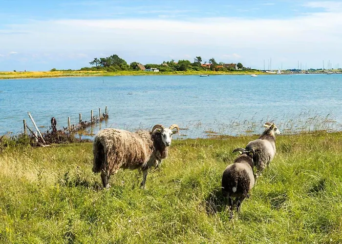 20151-samso-solsortevej-18 بيت للعطل *